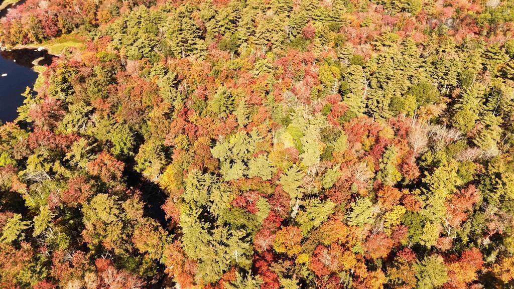 Br-3 Bowers Road, Lower Ohio, NS