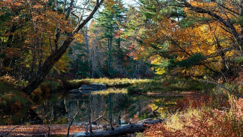 Br-3 Bowers Road, Lower Ohio, NS