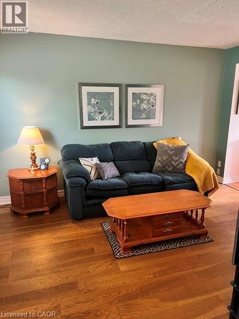 Living space featuring wood-finish flooring, light green wall paint, and a textured white ceiling - 227 Fergus Avenue, Kitchener, ON