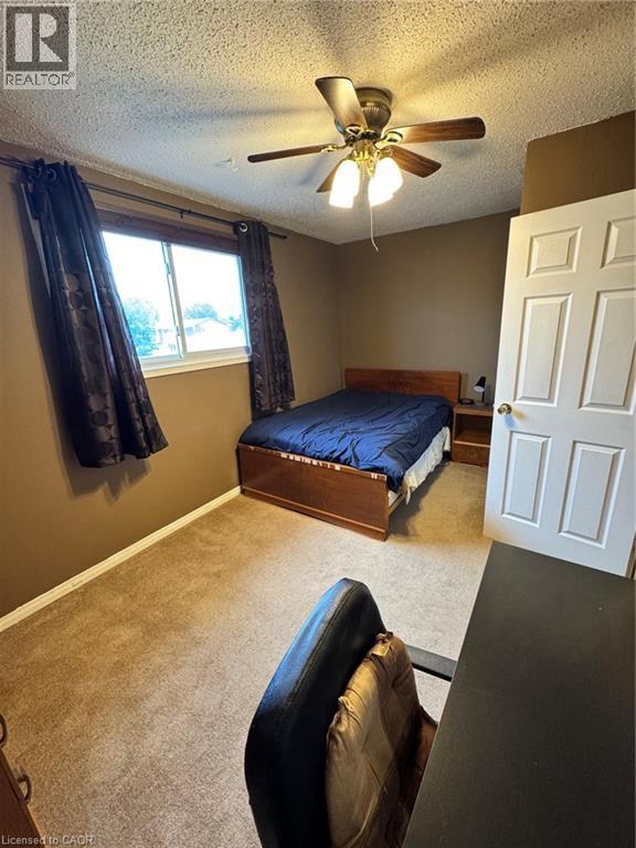 Carpeted interior space featuring a ceiling fan with light fixture, window with drapes, and a paneled interior door - 227 Fergus Avenue, Kitchener, ON
