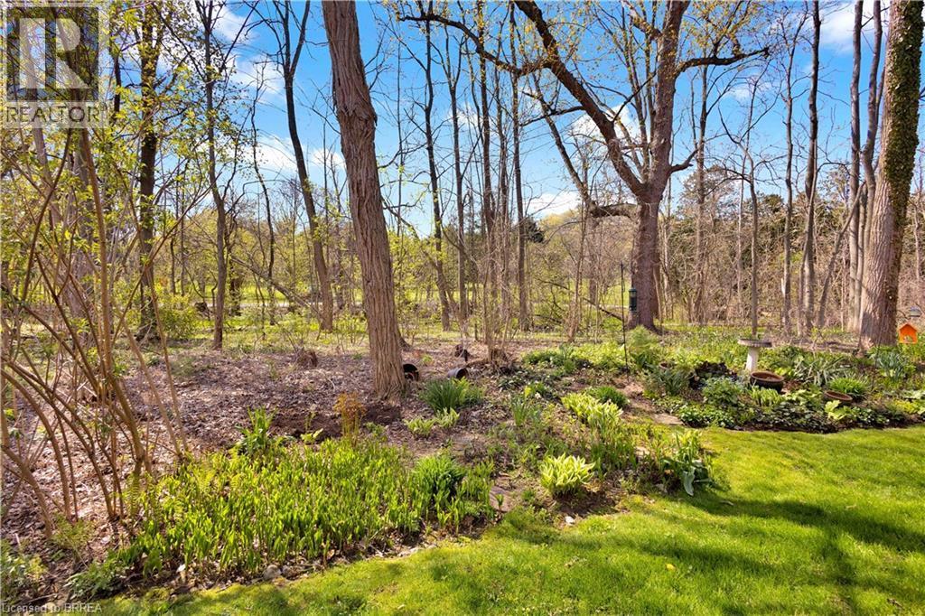 Expansive natural landscape featuring mature trees and a manicured lawn - 120 Beddoe Drive Unit# 6, Hamilton, ON