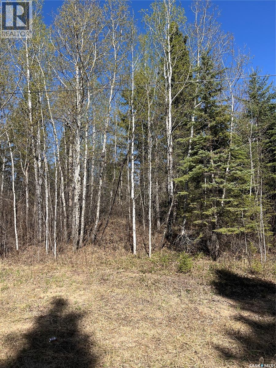 6 Buckingham Trail, Big River Rm No. 555, SK