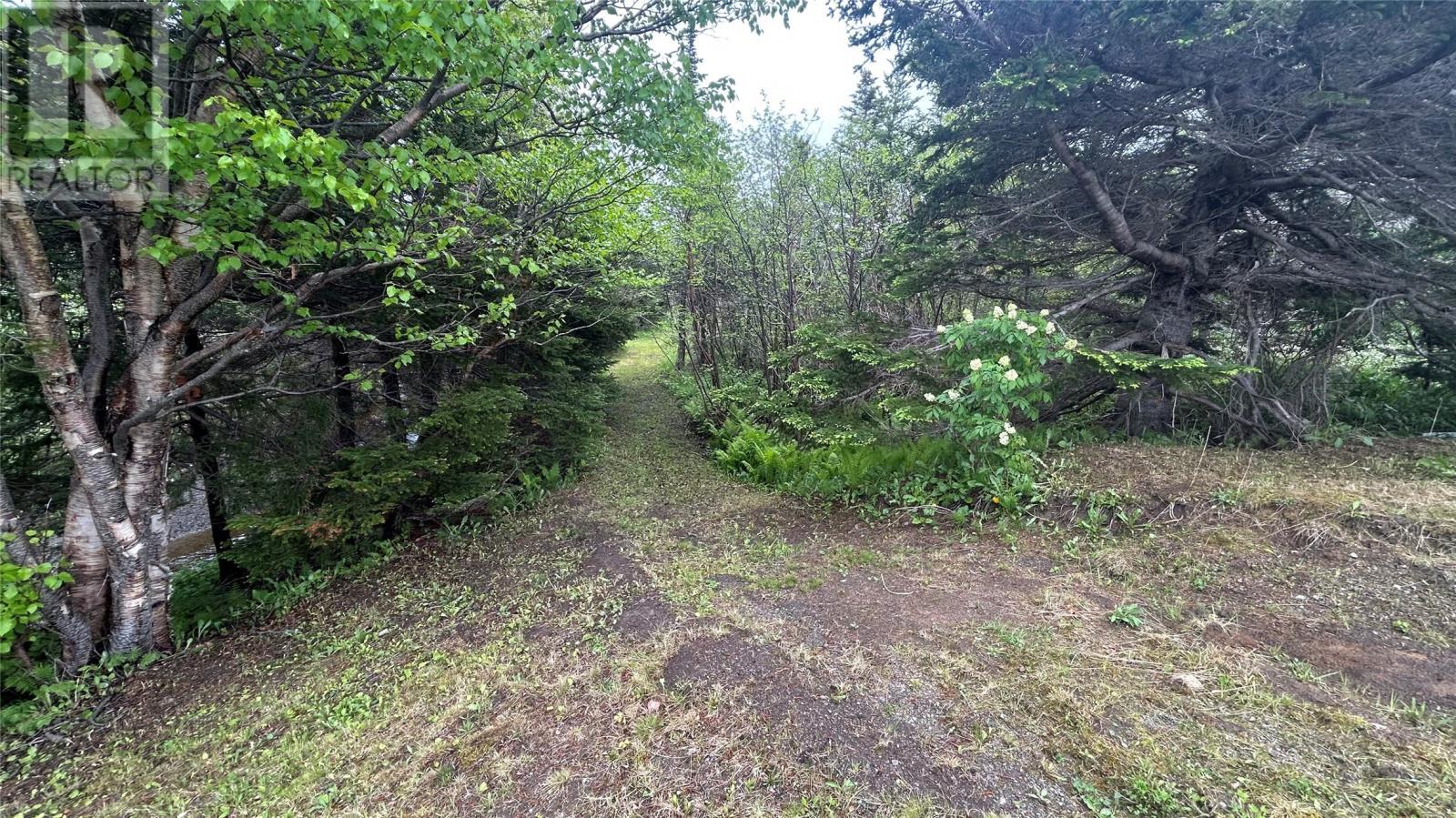 123 Main Road, Boswarlos, NL