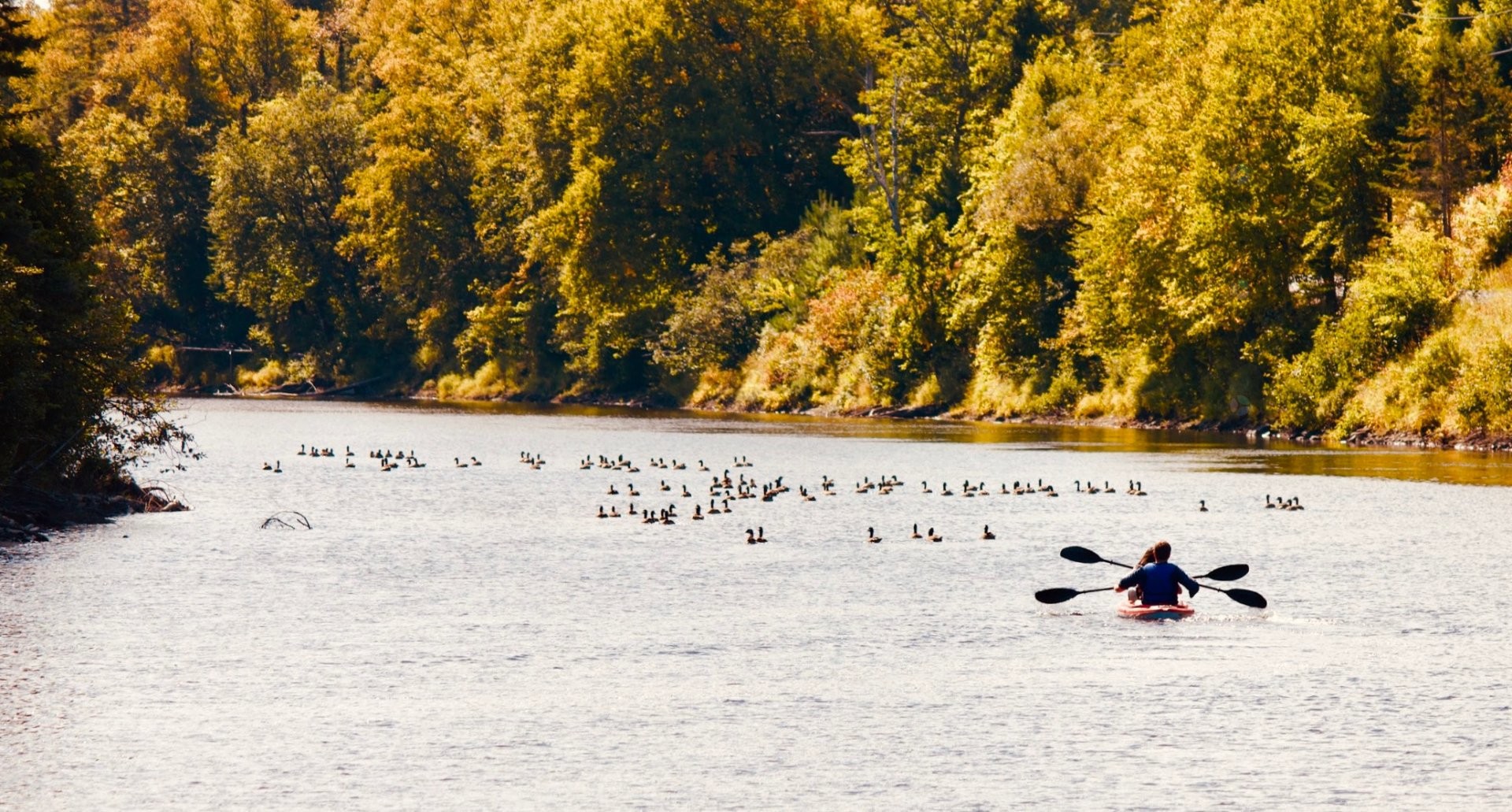Waterfront - 735 Ch. Brousseau, Labelle, QC