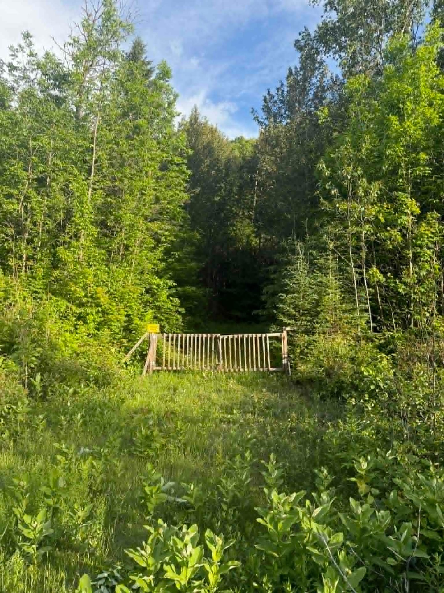 Other - Route 117 N., Rivière-Rouge, QC