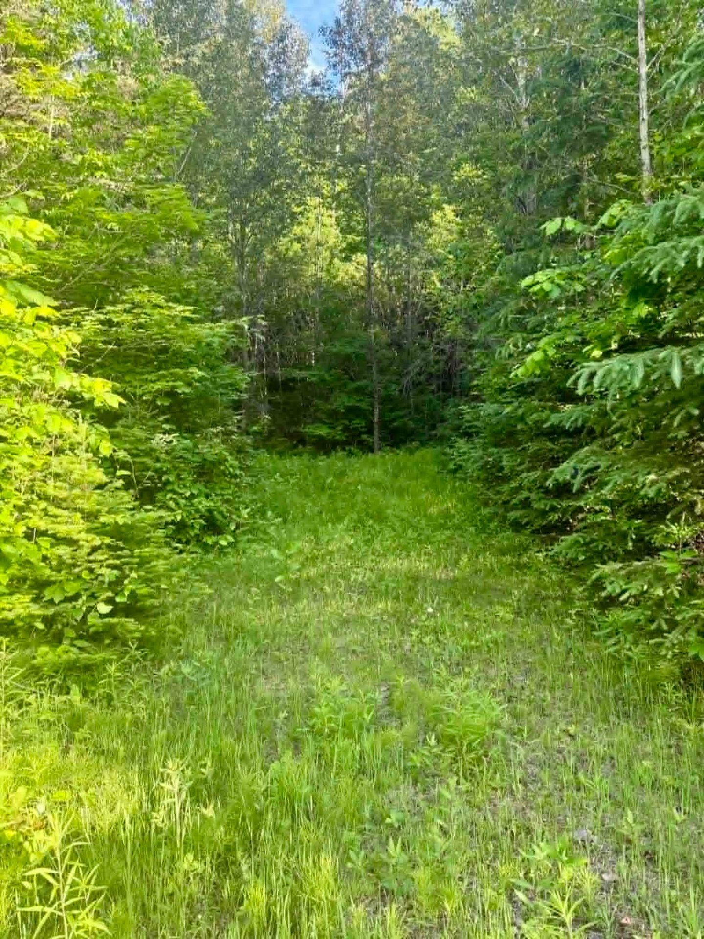 Other - Route 117 N., Rivière-Rouge, QC