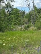 0 TOWER ROAD Madoc, ON K0K 1Y0