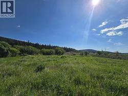 6003 HORSE LAKE ROAD 100 Mile House, BC V0K 2E3