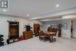 Lower level family room -