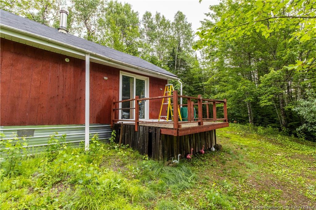 76 Back Rd, Summerfield, NB