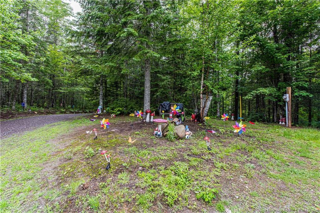 76 Back Rd, Summerfield, NB