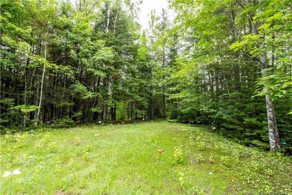 76 Back Rd, Summerfield, NB
