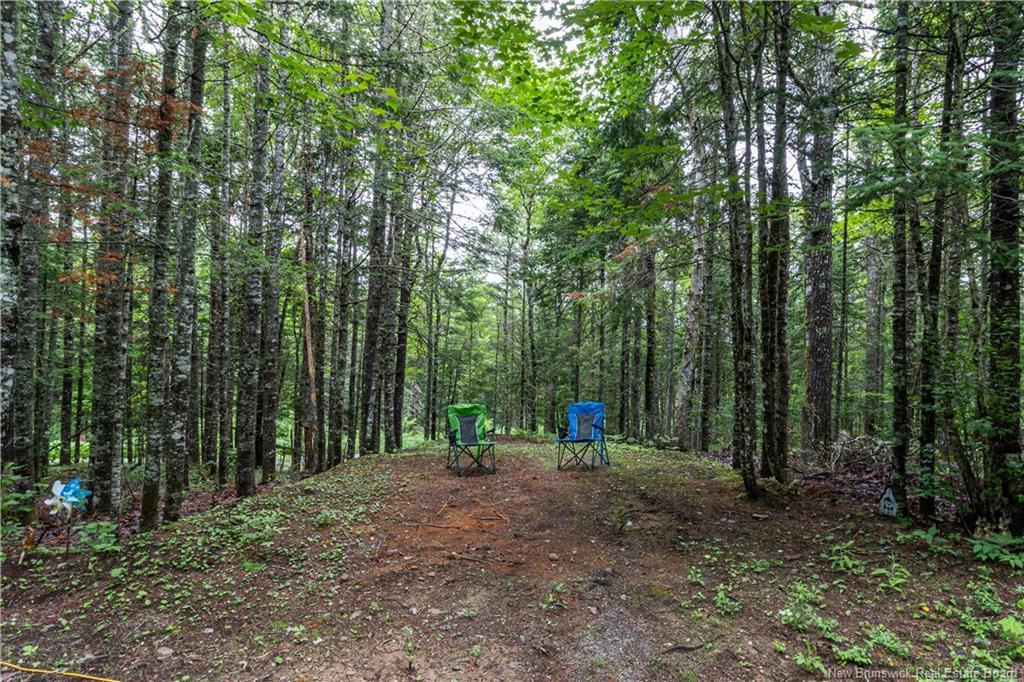 76 Back Rd, Summerfield, NB