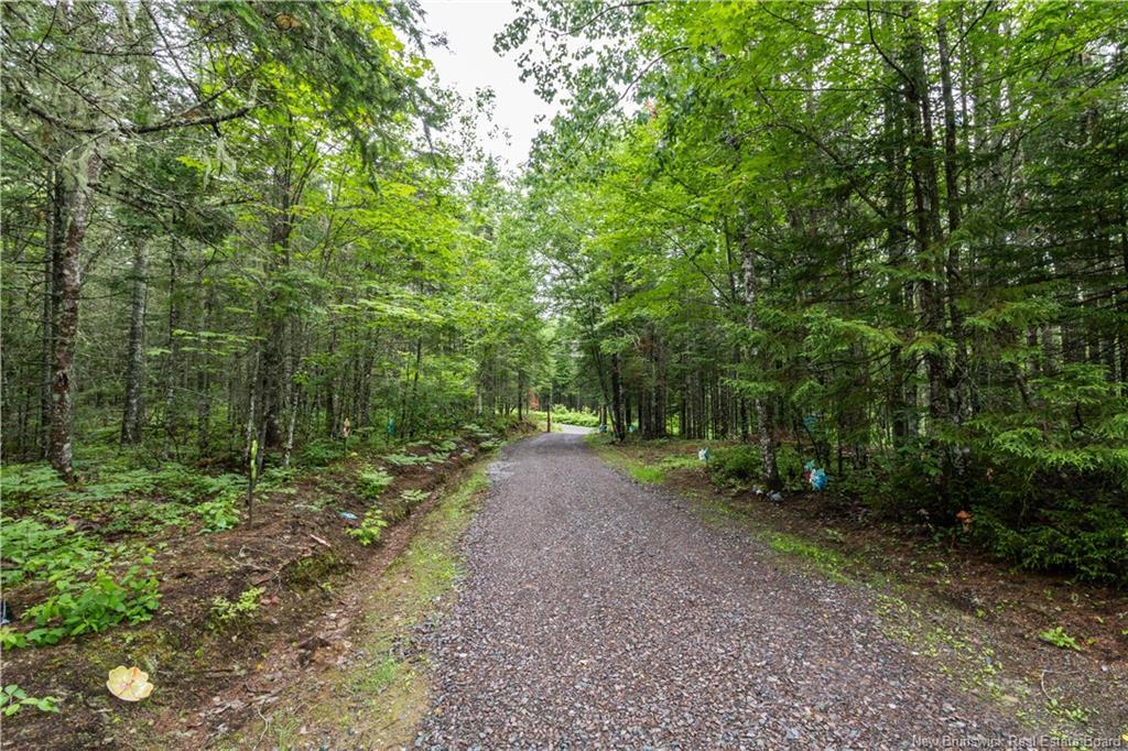 76 Back Rd, Summerfield, NB
