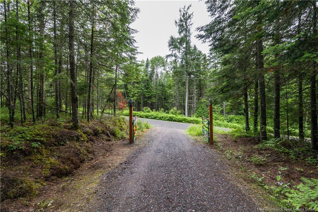 76 Back Rd, Summerfield, NB