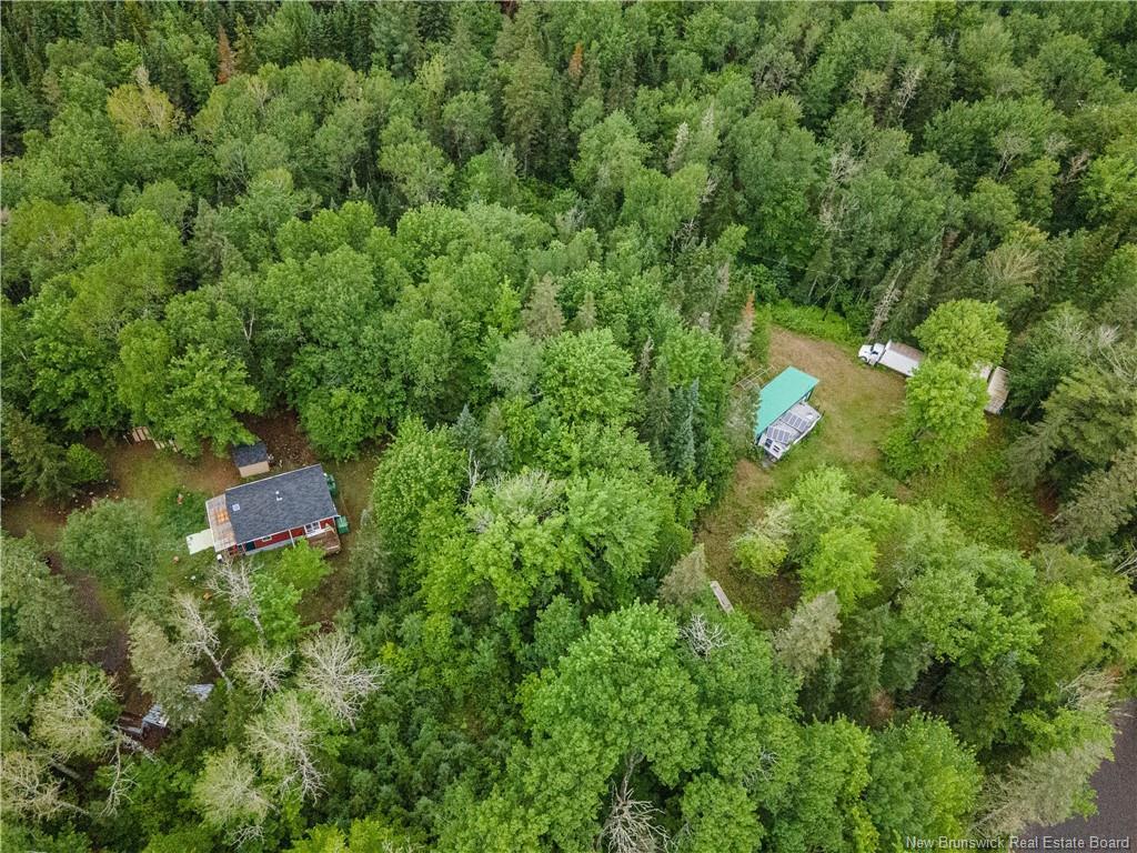 76 Back Rd, Summerfield, NB