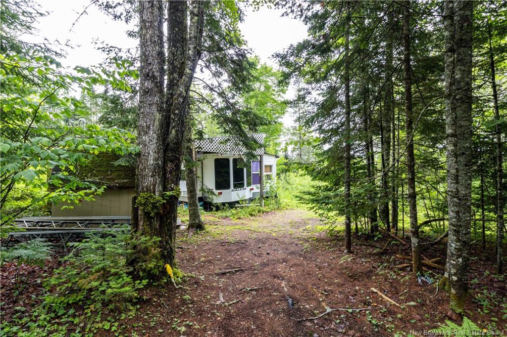 84 Back Rd, Summerfield, NB