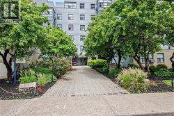 Paved driveway entrance with mature trees and landscaped garden beds -