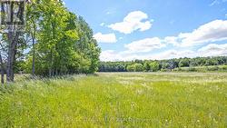3510 FOYMOUNT ROAD Bonnechere Valley, ON K0J 1T0