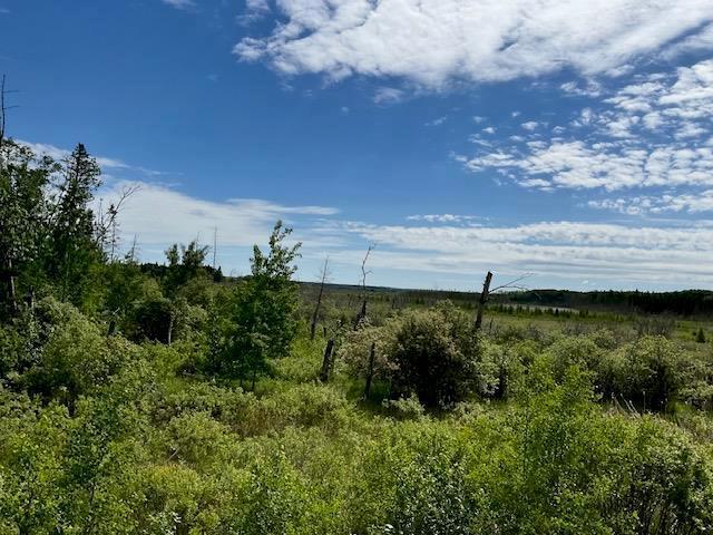 235 Pth 10 Highway, Onanole, MB