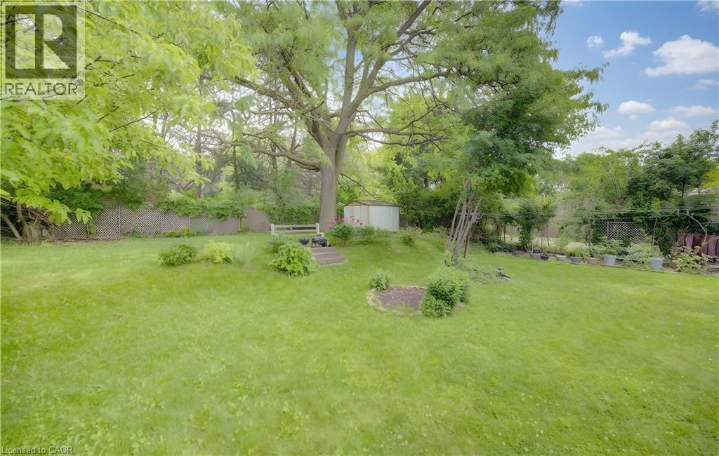 Expansive lawn area featuring a mature tree, a tiered garden bed, and a storage shed - 619 Forest Hill Drive, Kitchener, ON
