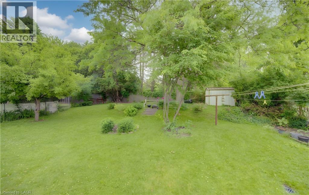 Expansive green lawn with mature trees and established plantings - 619 Forest Hill Drive, Kitchener, ON