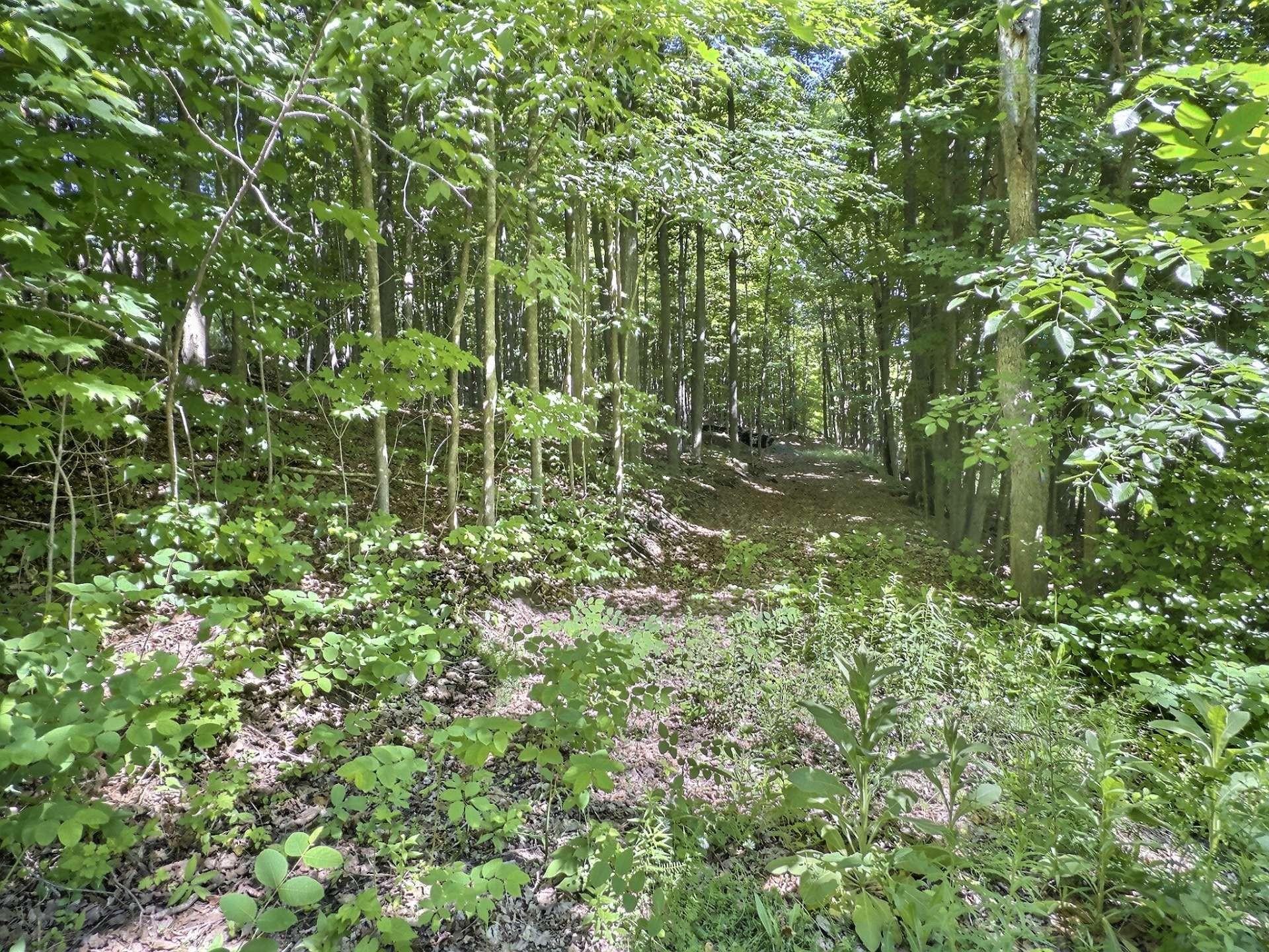 Terre/Terrain - Ch. Denis, Cantley, QC