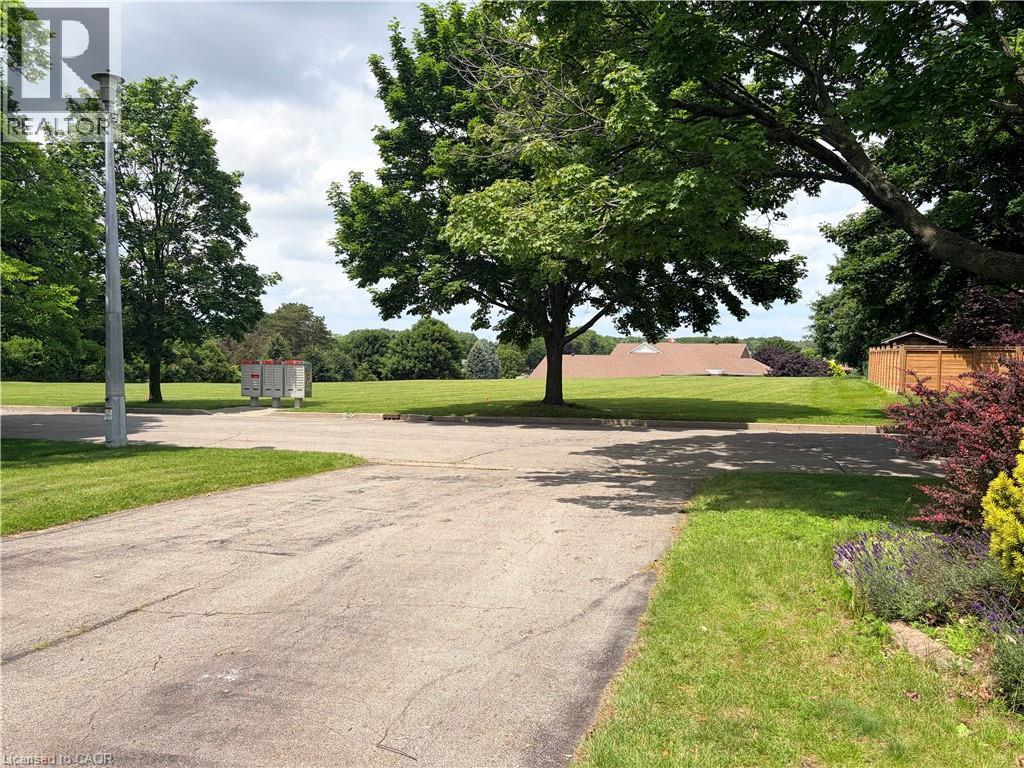 View from house - 50 Thorncliffe Road, Simcoe, ON