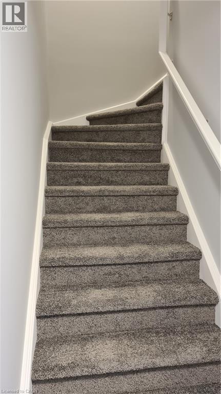 Carpeted staircase featuring a white handrail and baseboards, set against light gray walls - 42 Wheat Lane Unit# 42, Kitchener, ON