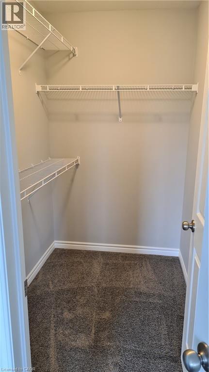 Walk-in closet featuring wire shelving, a hanging rod, and neutral-toned wall-to-wall carpeting - 42 Wheat Lane Unit# 42, Kitchener, ON