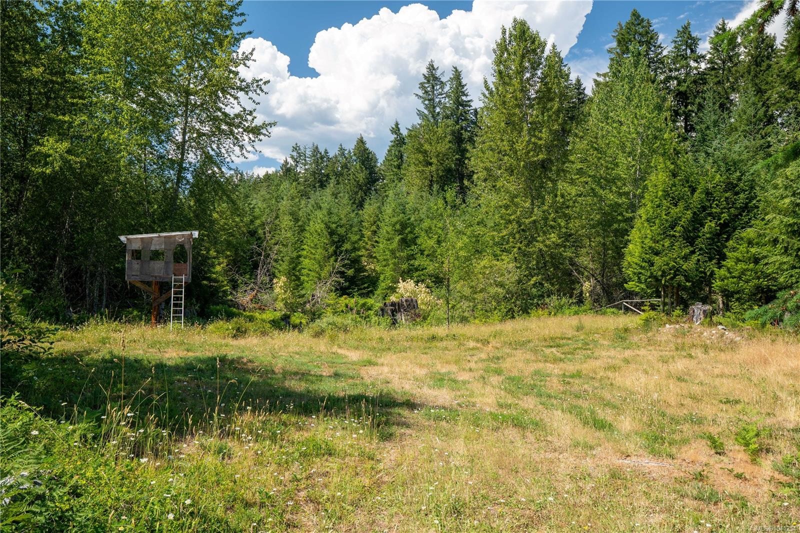6069 Clements Rd, Duncan, BC