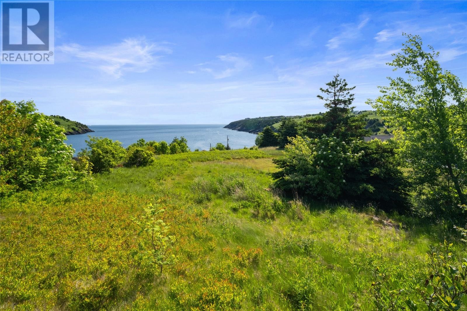 41 Lower Street, Torbay, NL