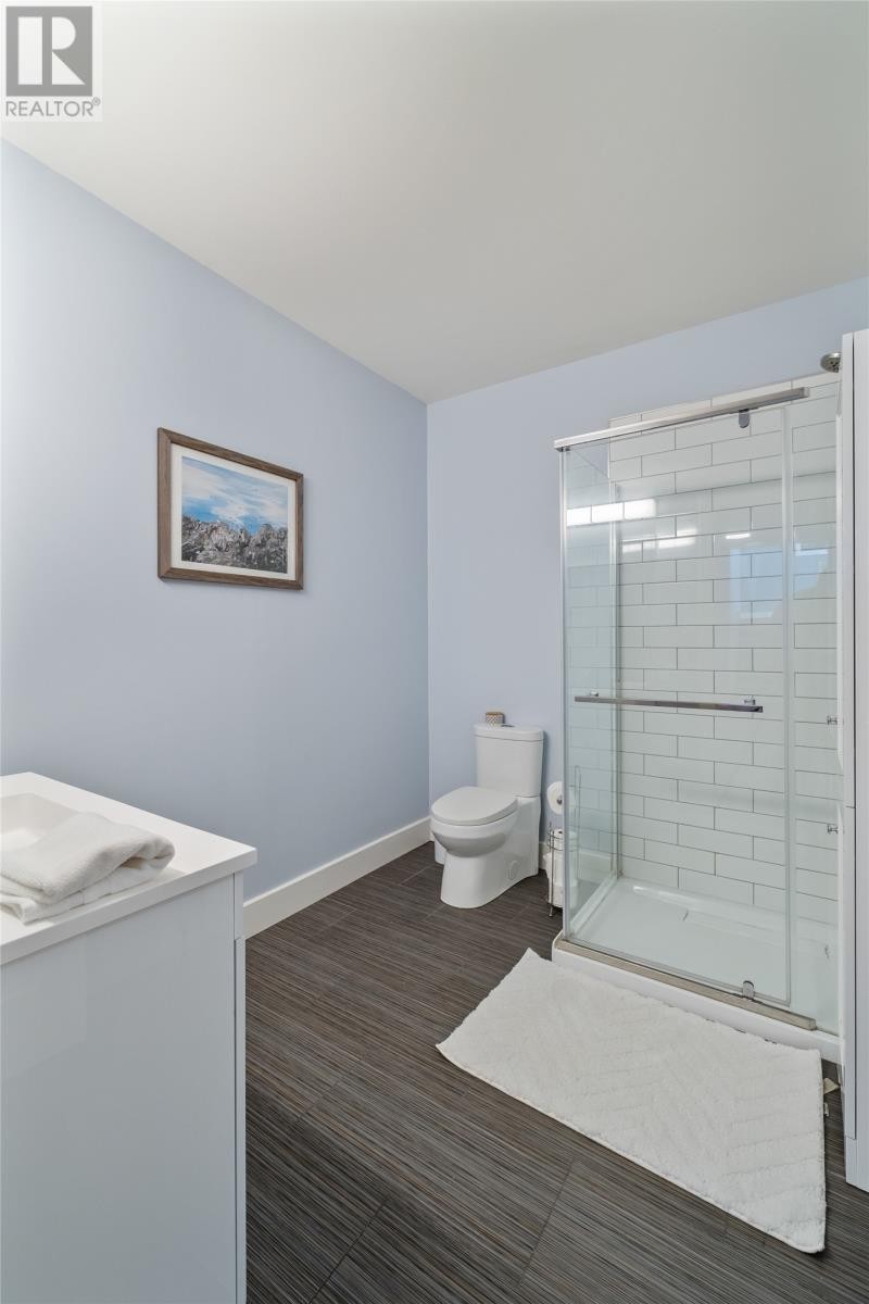 Basement Bathroom - 41 Lower Street, Torbay, NL