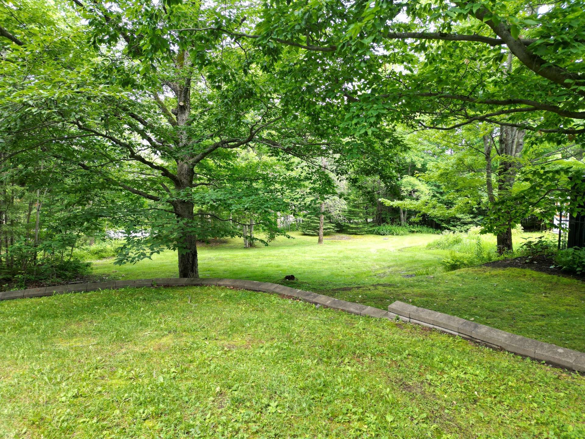Lot - 230 Rue René, Magog, QC
