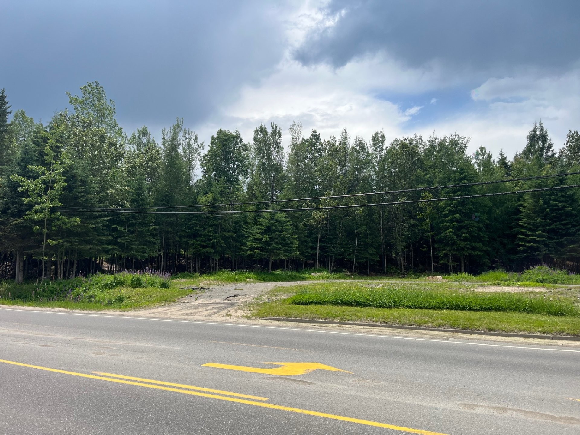 Terre/Terrain - Route 117, Val-David, QC