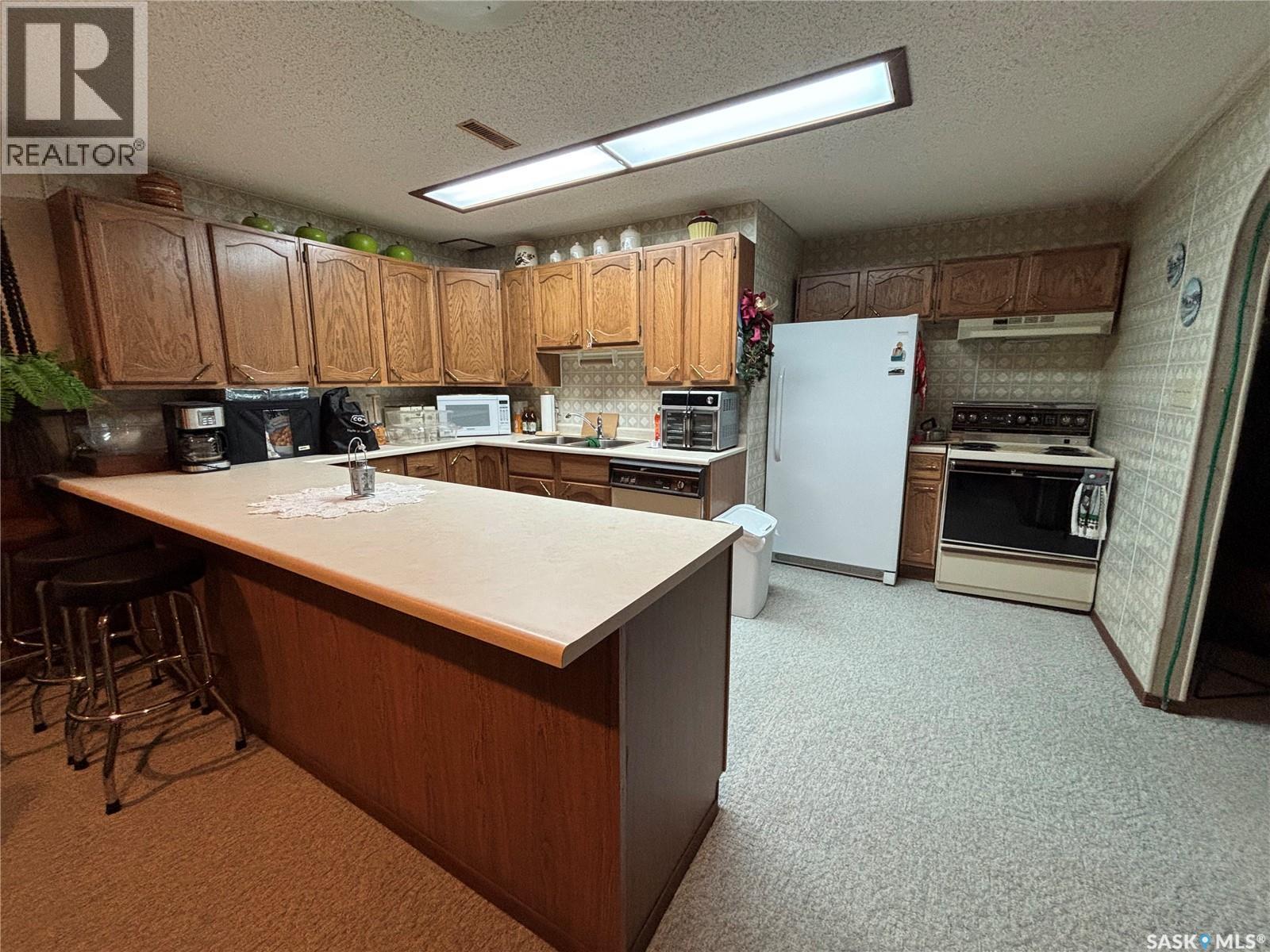 234 Patrick Street, Springside, SK