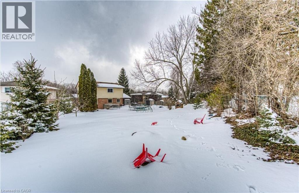 Expansive backyard featuring mature trees and a substantial snow-covered lawn - 110 Wren Place Unit# Upper, Kitchener, ON - Outdoor