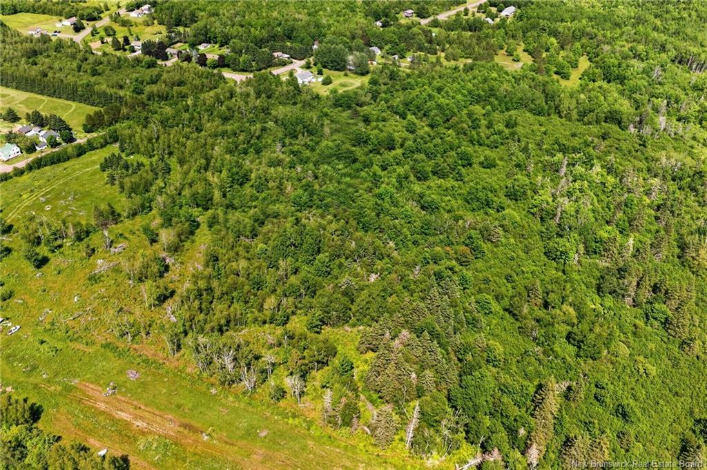 Lot Macdougall Rd, Macdougall Settlement, NB