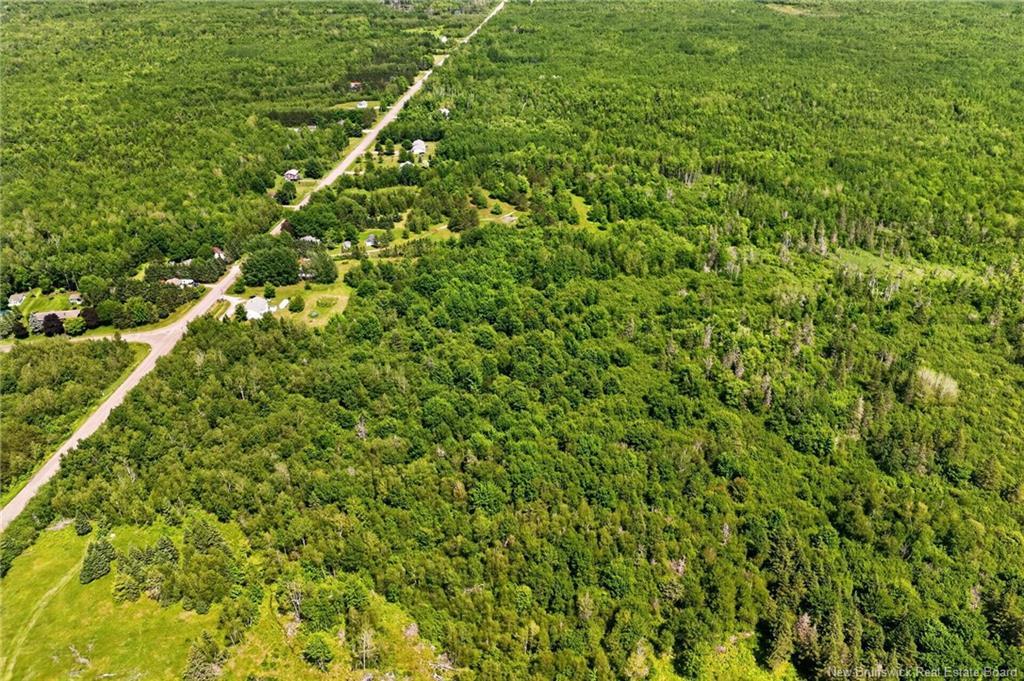 Lot Macdougall Rd, Macdougall Settlement, NB