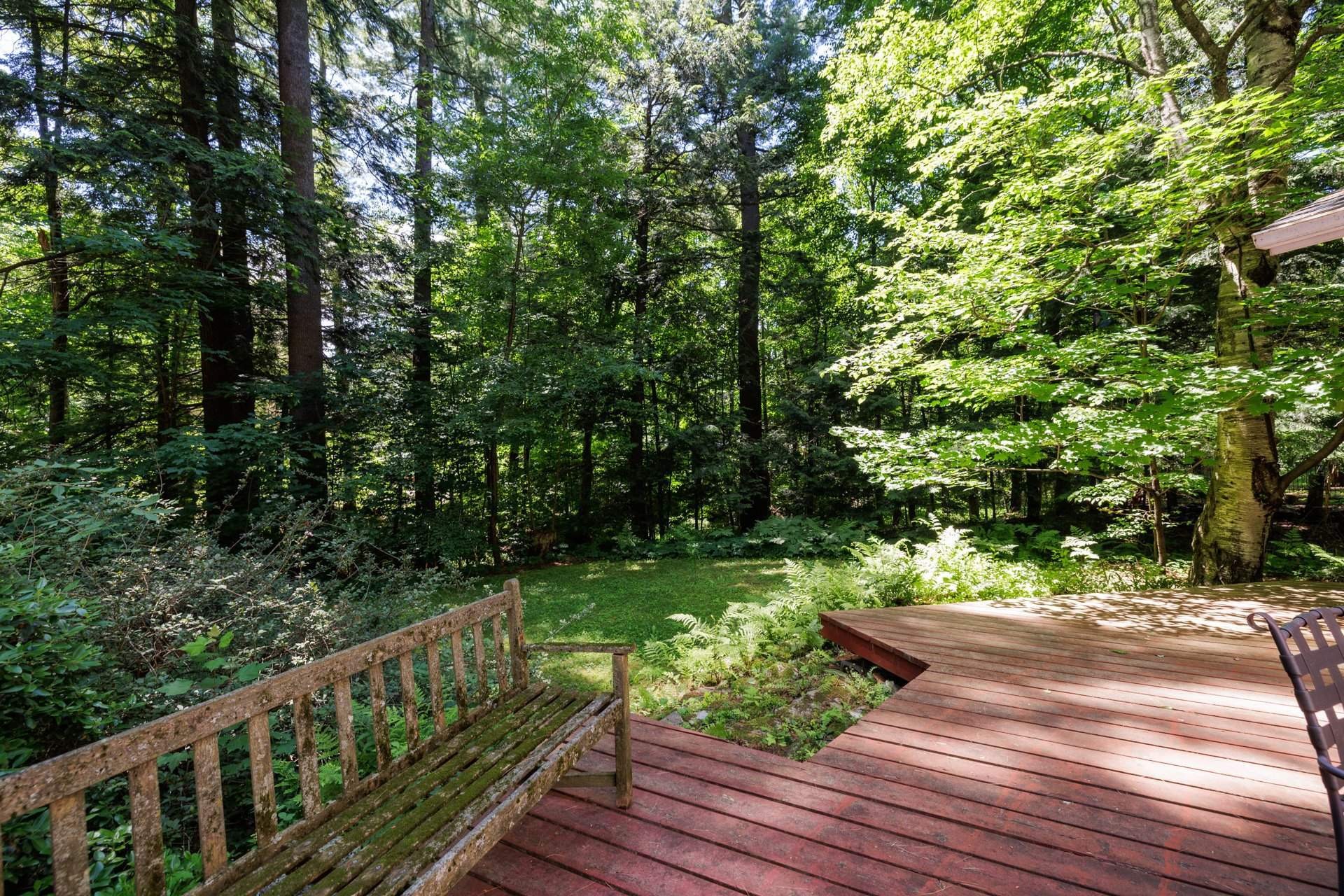 Cour - 24 Rue Westwood, Hudson, QC - Outdoor With Deck Patio Veranda