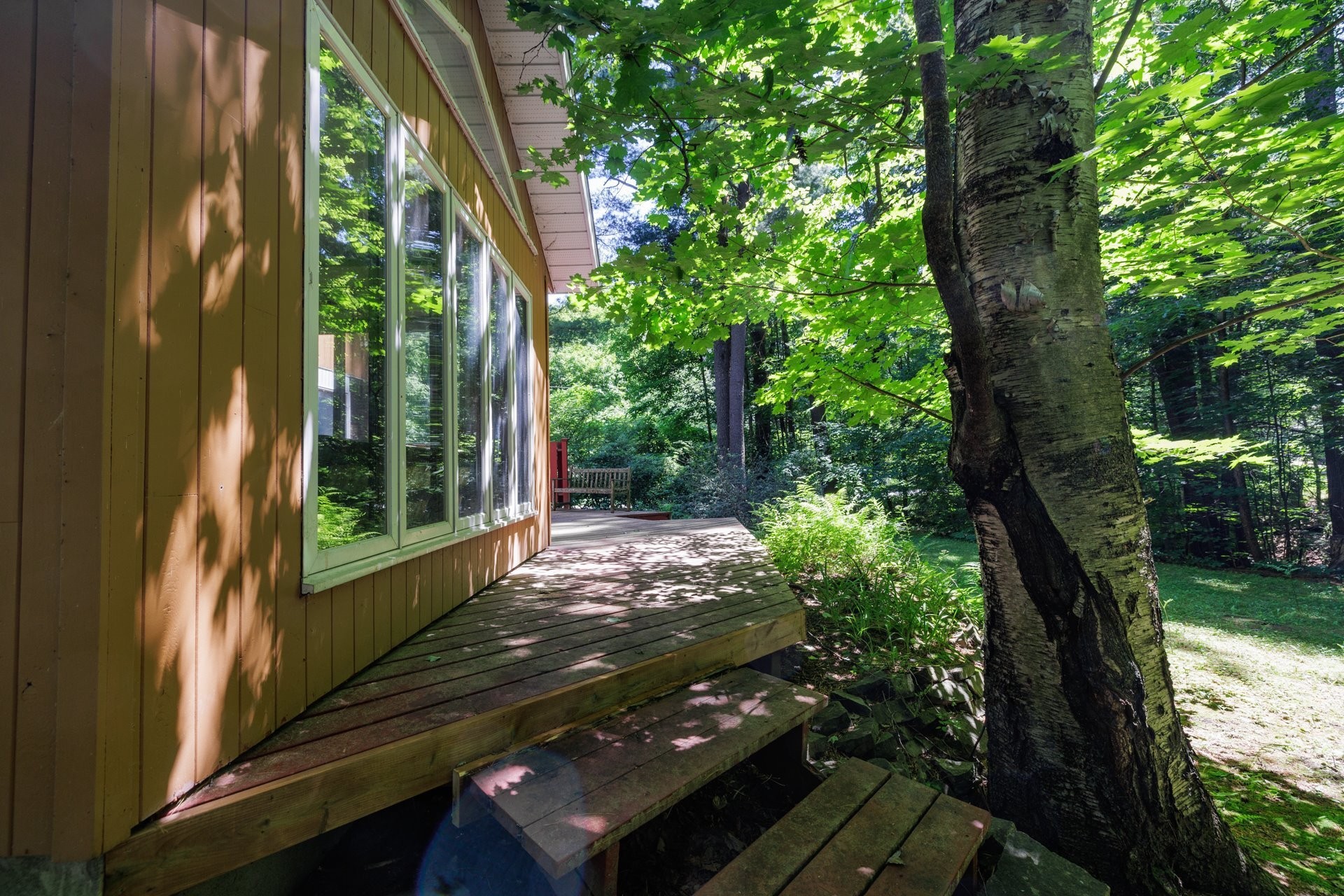 Cour - 24 Rue Westwood, Hudson, QC - Outdoor