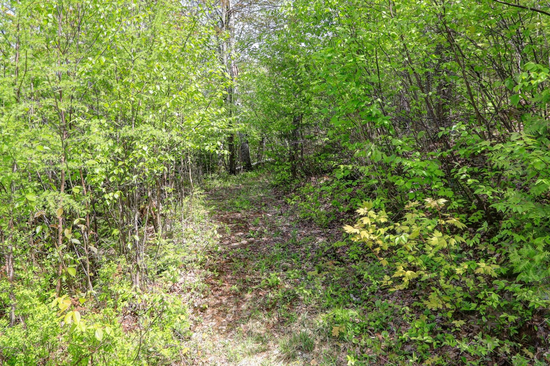 Exterior - 2120Z Ch. Du Golf, Sainte-Lucie-Des-Laurentides, QC