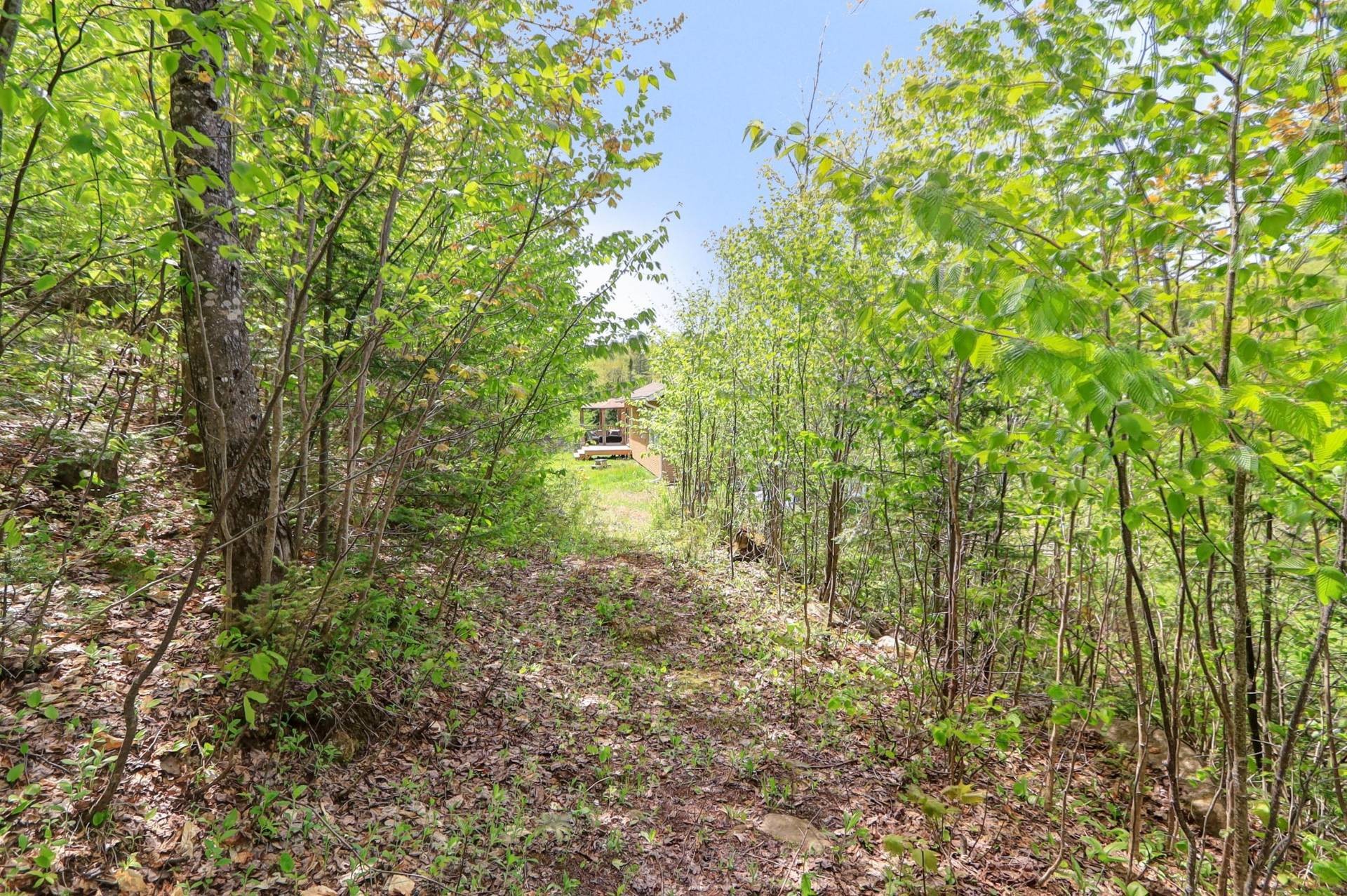 Exterior - 2120Z Ch. Du Golf, Sainte-Lucie-Des-Laurentides, QC