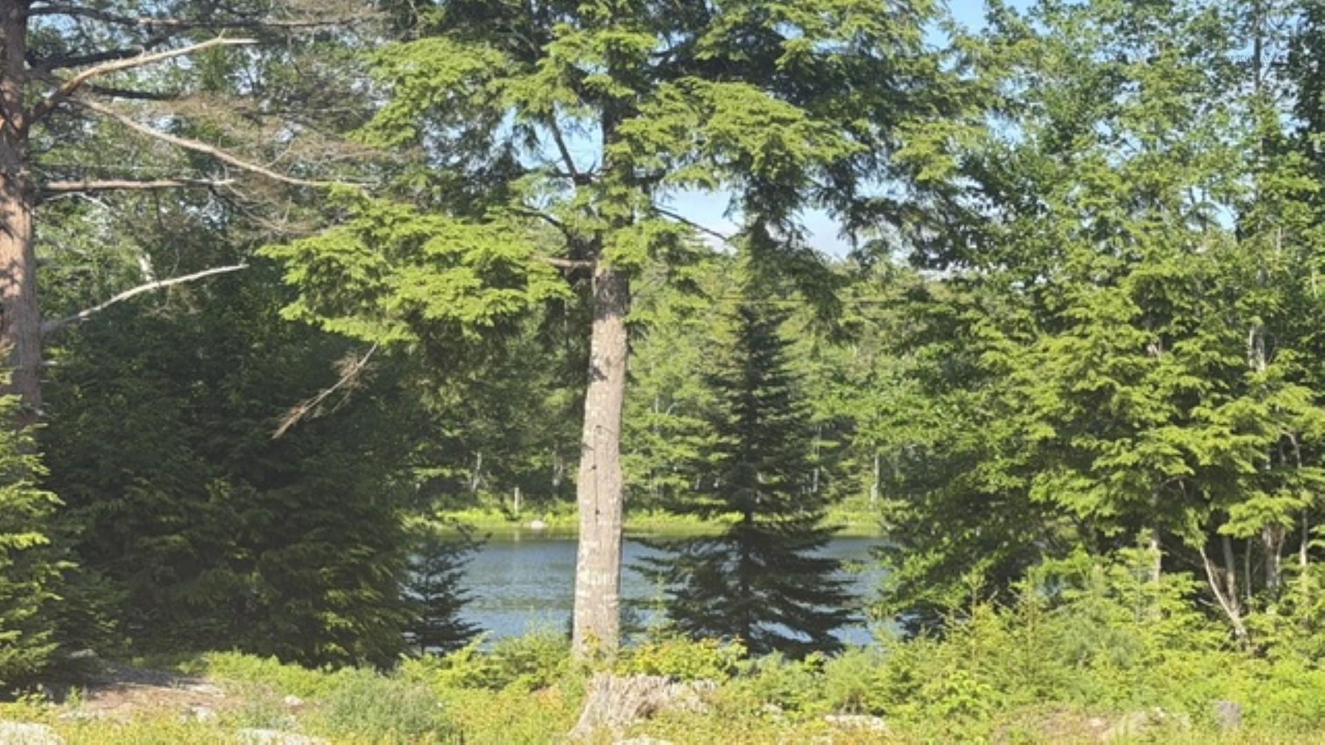 27 Riverside Cove, Chester, NS