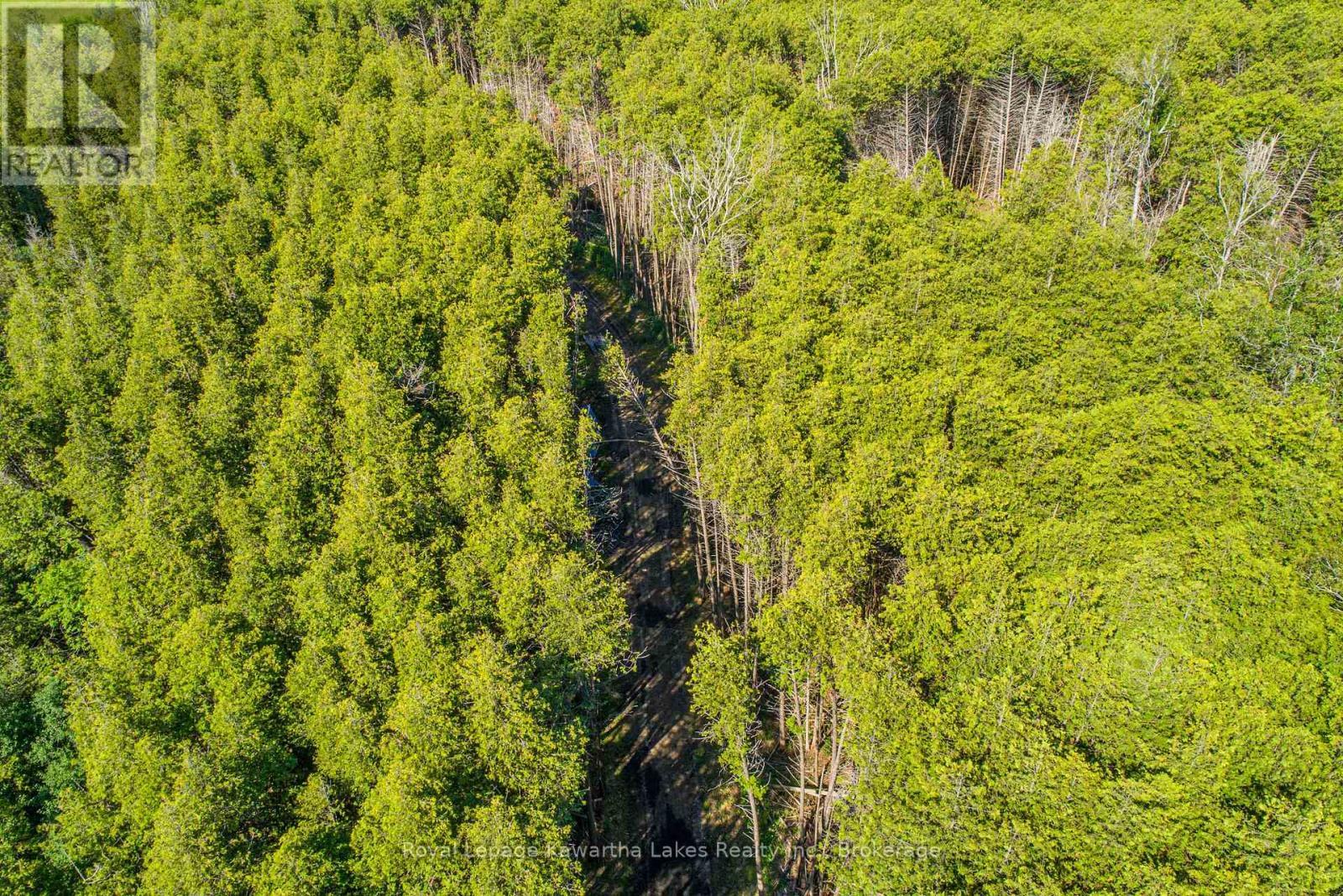 36 Spen Haven Road, Kawartha Lakes (Emily), ON