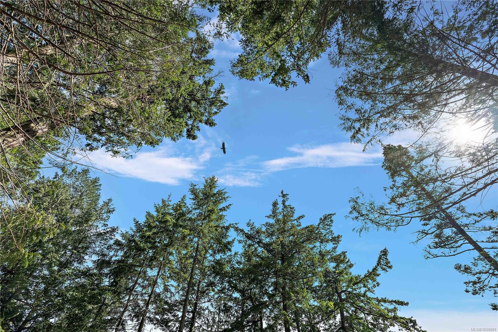 377 Evergreen Lane, Sidney Island, BC