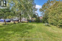 park area - 