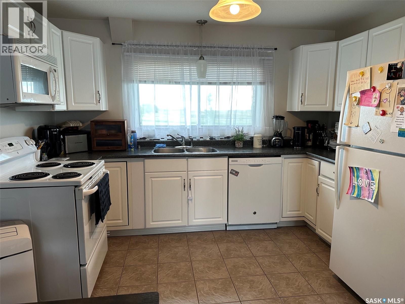 344 Young Street, Macoun, SK - Indoor Photo Showing Kitchen With Double Sink
