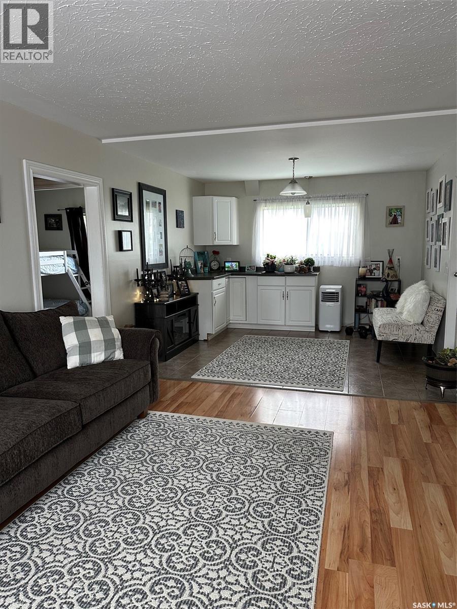 344 Young Street, Macoun, SK - Indoor Photo Showing Living Room