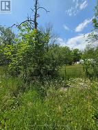 0 SCHELL LINE Kawartha Lakes (Somerville), ON K0M 1A0